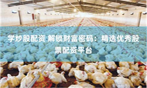 学炒股配资 解锁财富密码：精选优秀股票配资平台