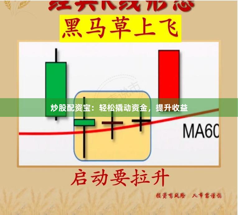 炒股配资宝：轻松撬动资金，提升收益