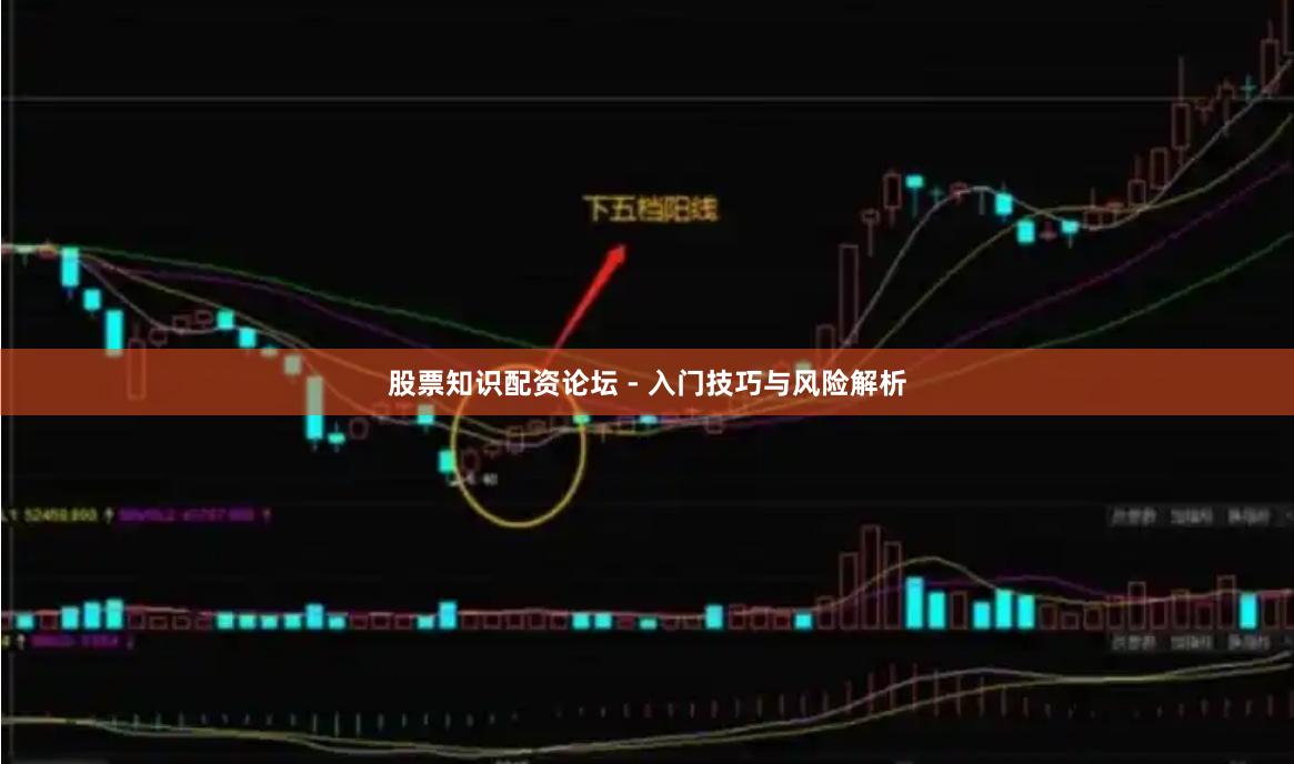 股票知识配资论坛 - 入门技巧与风险解析