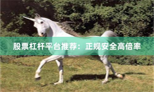 股票杠杆平台推荐:正规安全高倍率